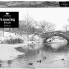 Amazing Puzzle - Amazing Winterlake (Spil)