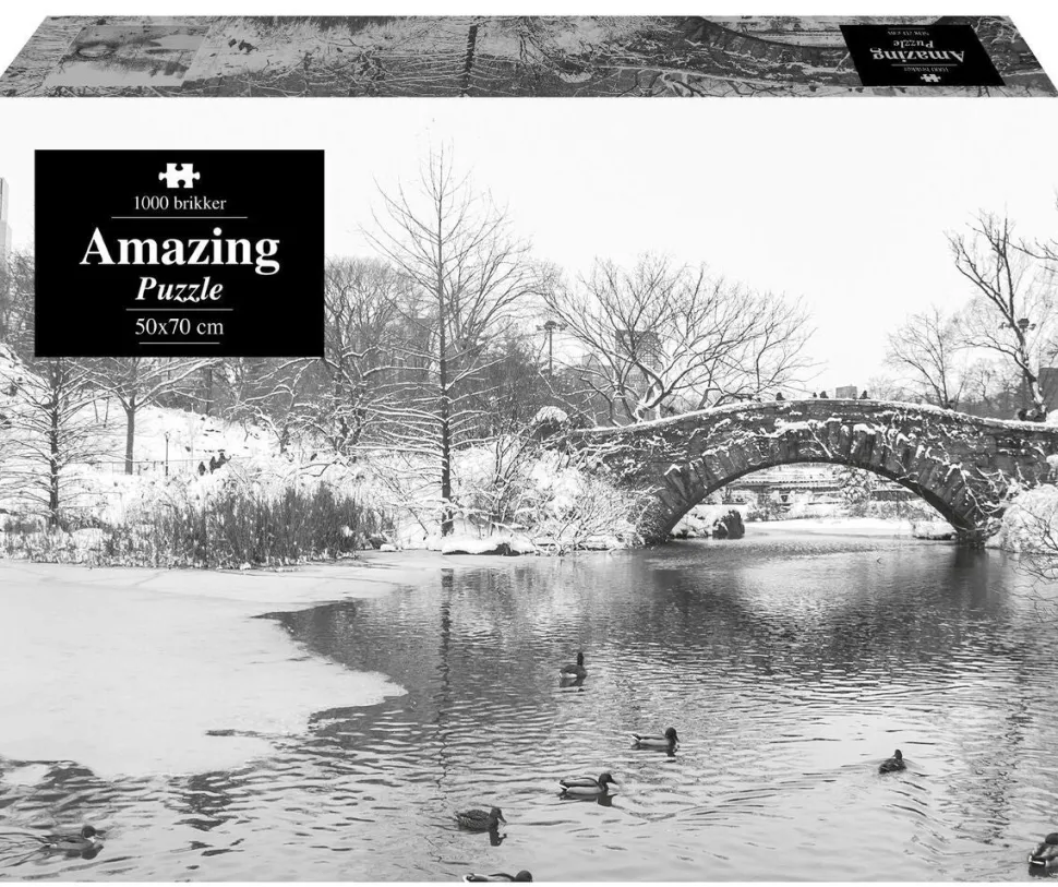 Amazing Puzzle - Amazing Winterlake (Spil)