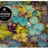 Amazing Puzzle - Round - Sukkulent (Spil)