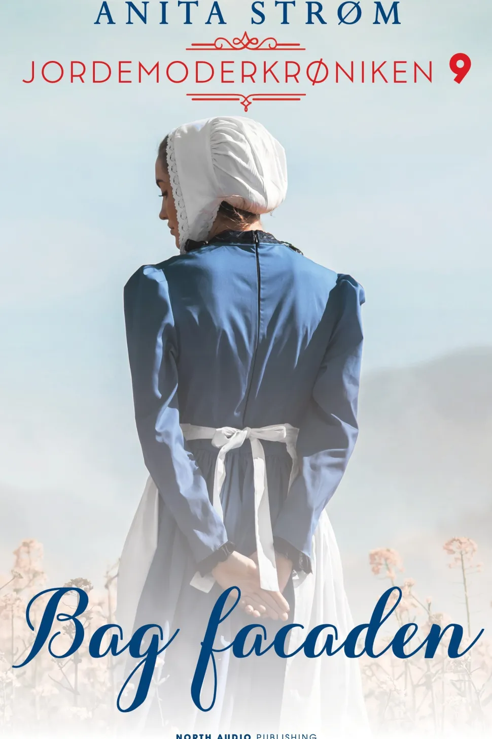Bag facaden (Ebog, epub, Dansk) af Anita Strøm