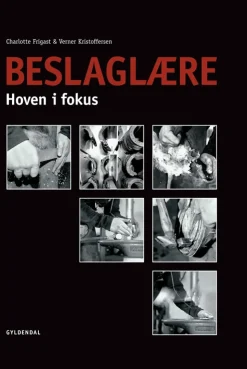 Beslaglære: Hoven i fokus (Bog, Indbundet, Dansk) af Verner Kristoffersen