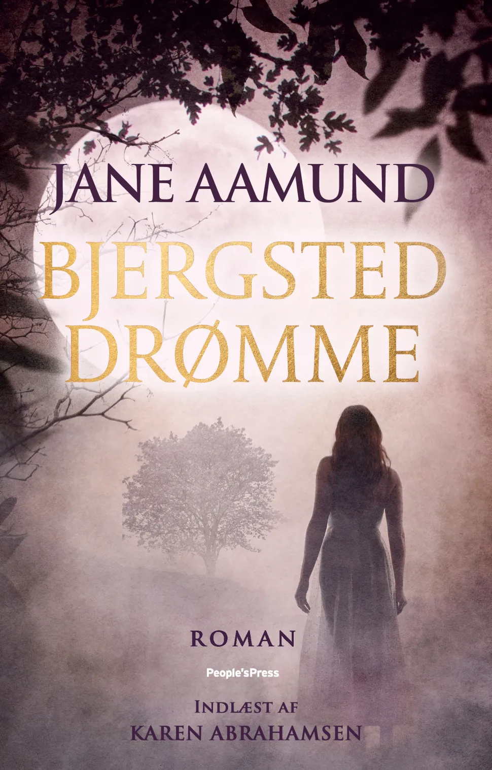 Bjergsted drømme (Lydbog, zip_mp3, Dansk) af Jane Aamund