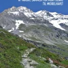 Bjergtaget: at vandre sammen fra Mont Blanc til Middelhavet (Ebog, epub, Dansk) af Majken Schultz