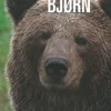 Bjørn - [RODEKASSE/DEFEKT] (Bog, Limryg, Dansk) af Steen Agger