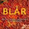 Blår (Hardback, Dansk) af Hugh Howey