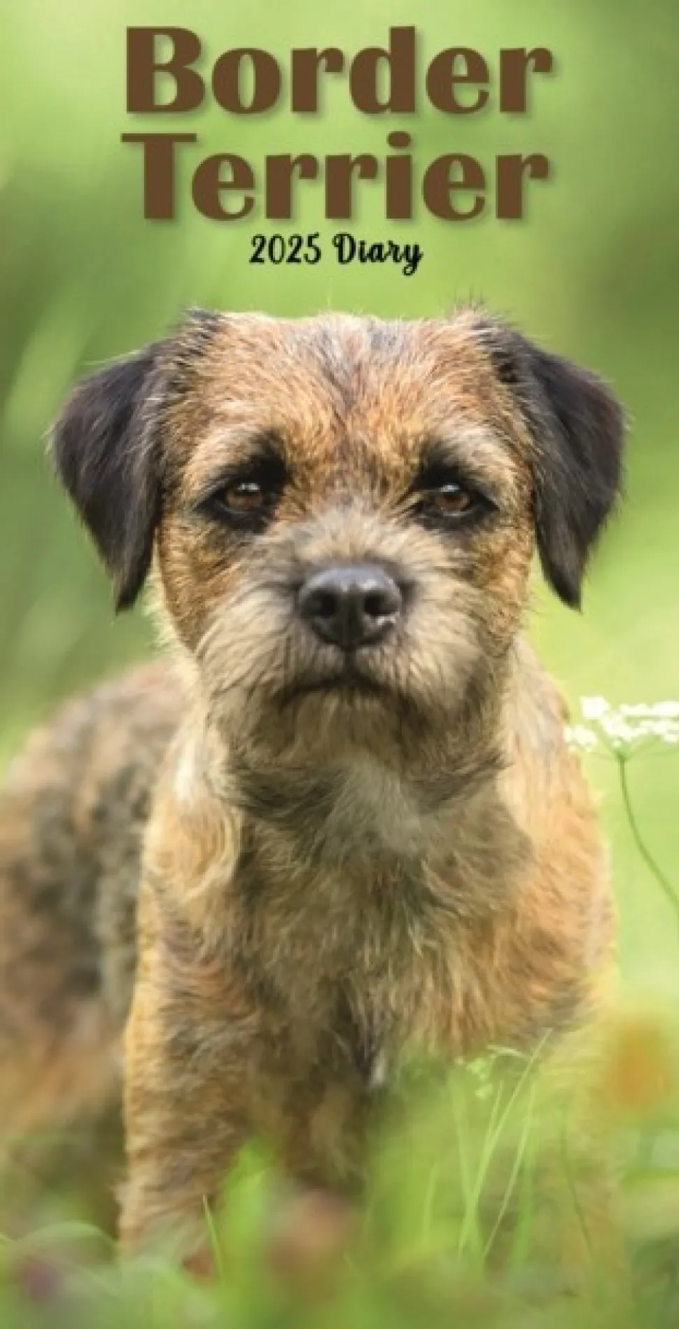 Border Terriers Slim Diary 2025 (Kalender, Calendar, Engelsk) af Carousel Calendars