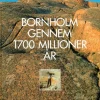 Bornholm gennem 1700 millioner år (Bog, Hardback, Dansk) af Jørgen Butzbach