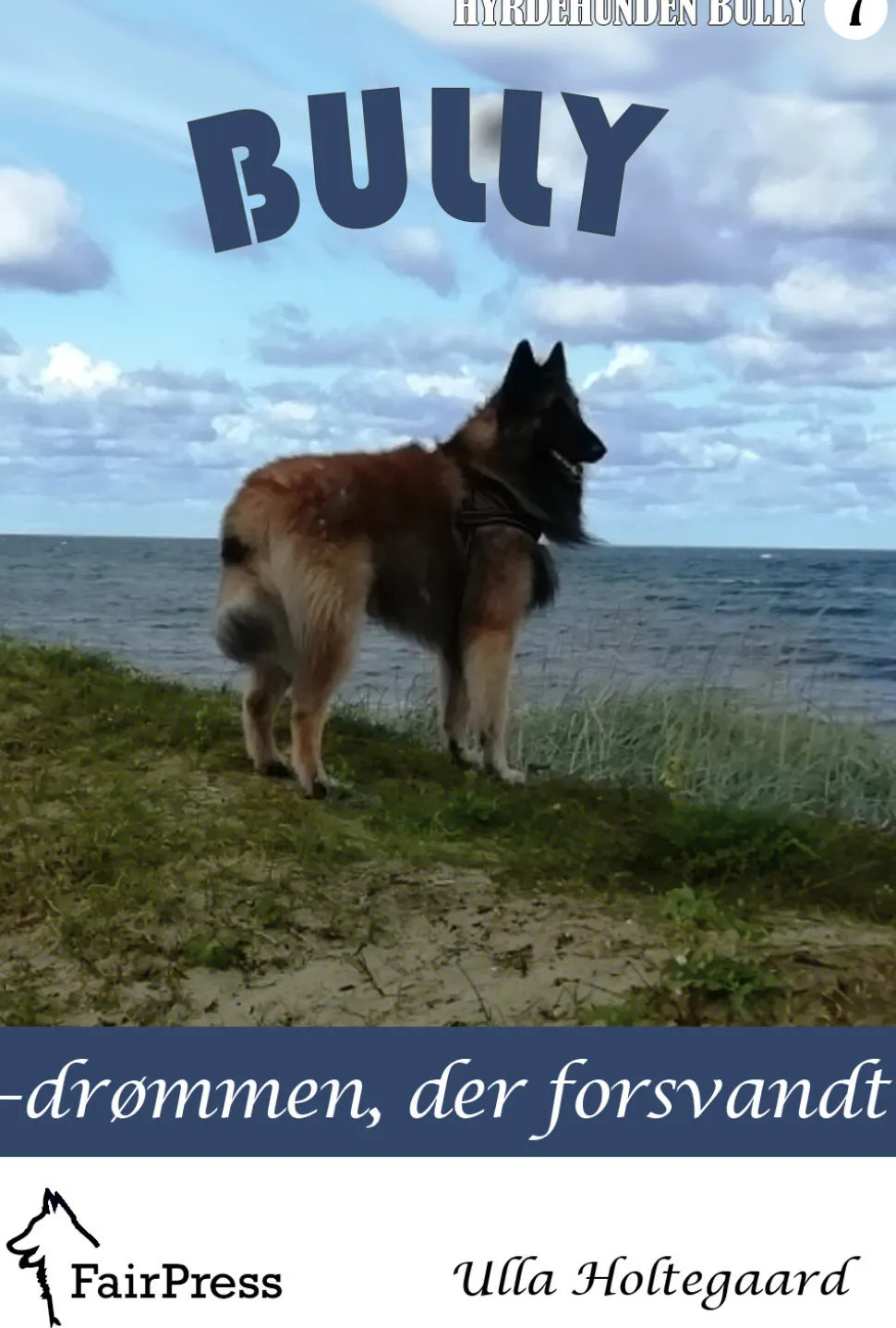 Bully – drømmen, der forsvandt (Ebog, epub, Dansk) af Ulla Holtegaard