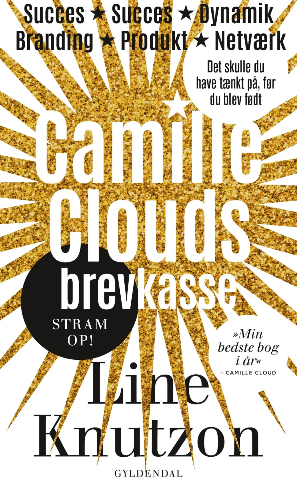 Camille Clouds brevkasse (Ebog, epub, Dansk) af Line Knutzon