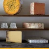 Cheese & Dairy: River Cottage Handbook No.16 (Bog, Hardback, Engelsk) af Steven Lamb