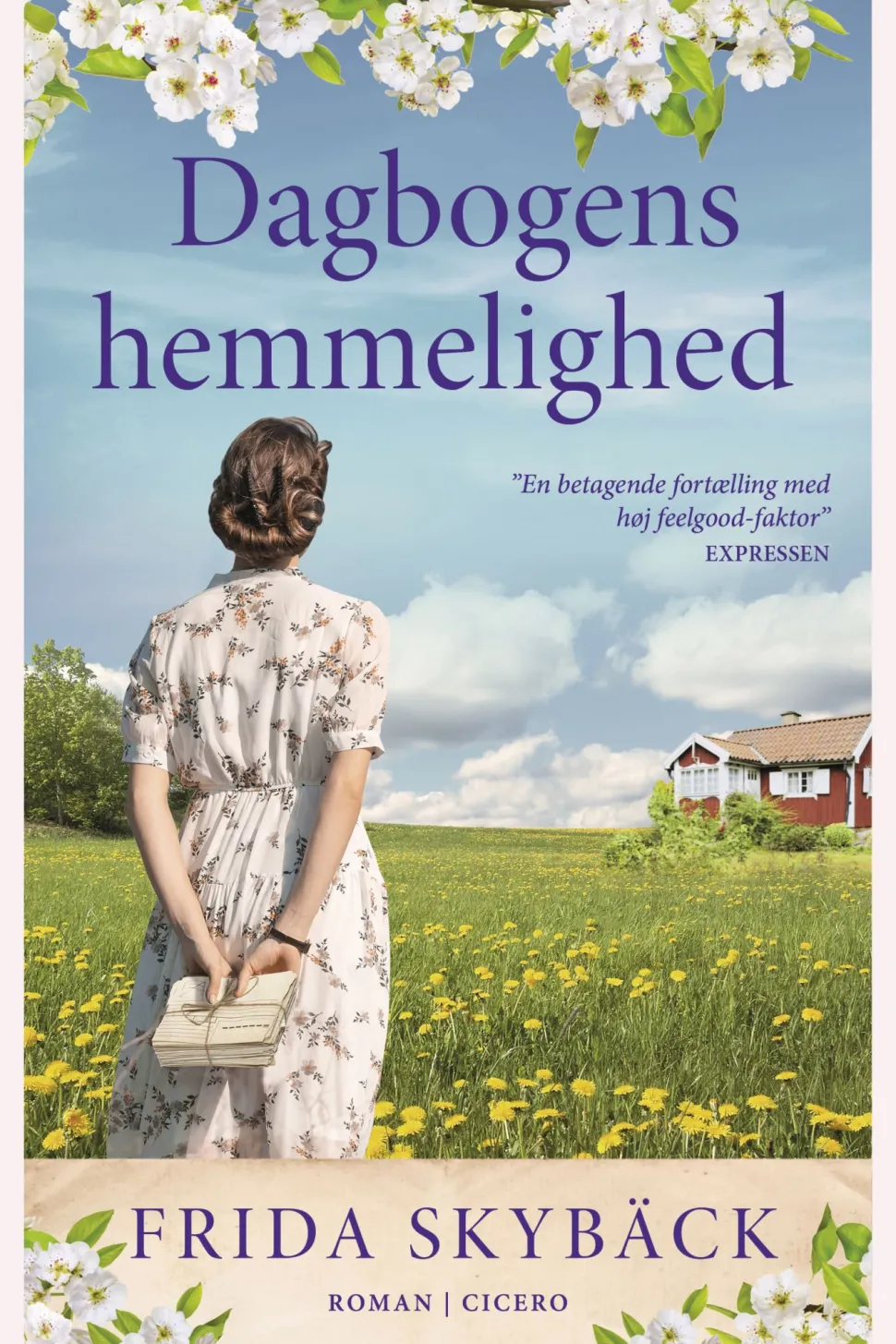 Dagbogens hemmelighed (Ebog, epub, Dansk) af Frida Skybäck