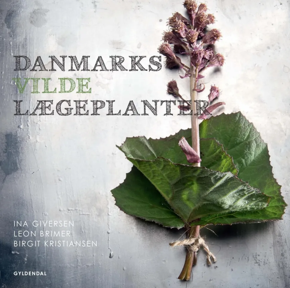 Danmarks vilde lægeplanter: - og deres anvendelse før og nu (Ebog, epub, Dansk) af Birgit Kristiansen
