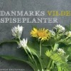 Danmarks vilde spiseplanter (Ebog, epub, Dansk) af Birgit Kristiansen