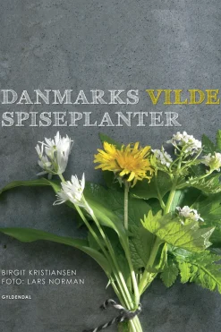 Danmarks vilde spiseplanter (Ebog, epub, Dansk) af Birgit Kristiansen