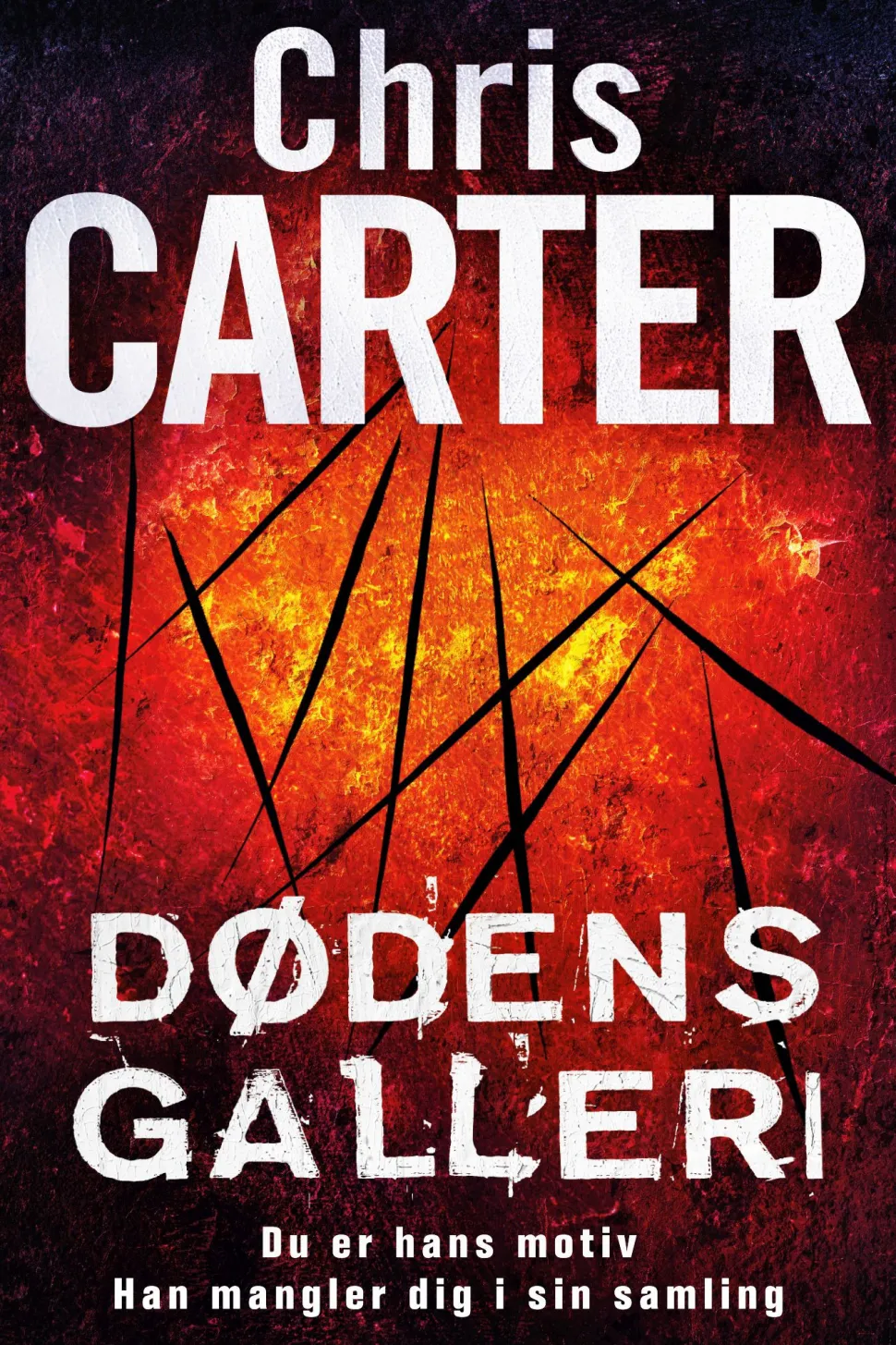 Dødens galleri (Bog, Paperback, Dansk) af Chris Carter