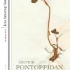 De dødes rige: Med forord af Jens Smærup Sørensen (Bog, Hæftet, Dansk) af Henrik Pontoppidan