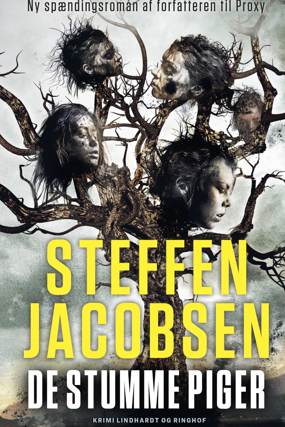 De stumme piger (Ebog, epub, Dansk) af Steffen Jacobsen