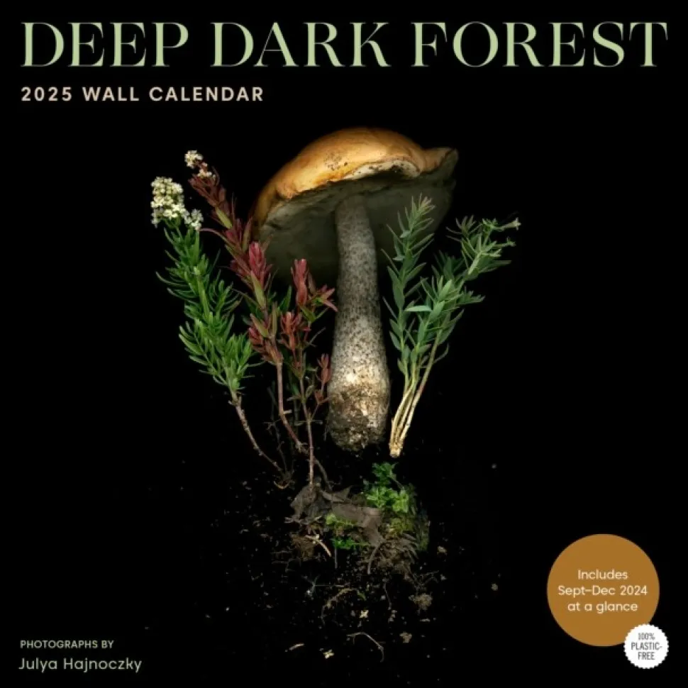 Deep Dark Forest 2025 Wall Calendar (Kalender, Calendar, Engelsk) af Julya Hajnoczky