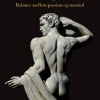 Den frie organisation: Balance mellem passion og storsind (Ebog, epub, Dansk) af Ole Fogh Kirkeby