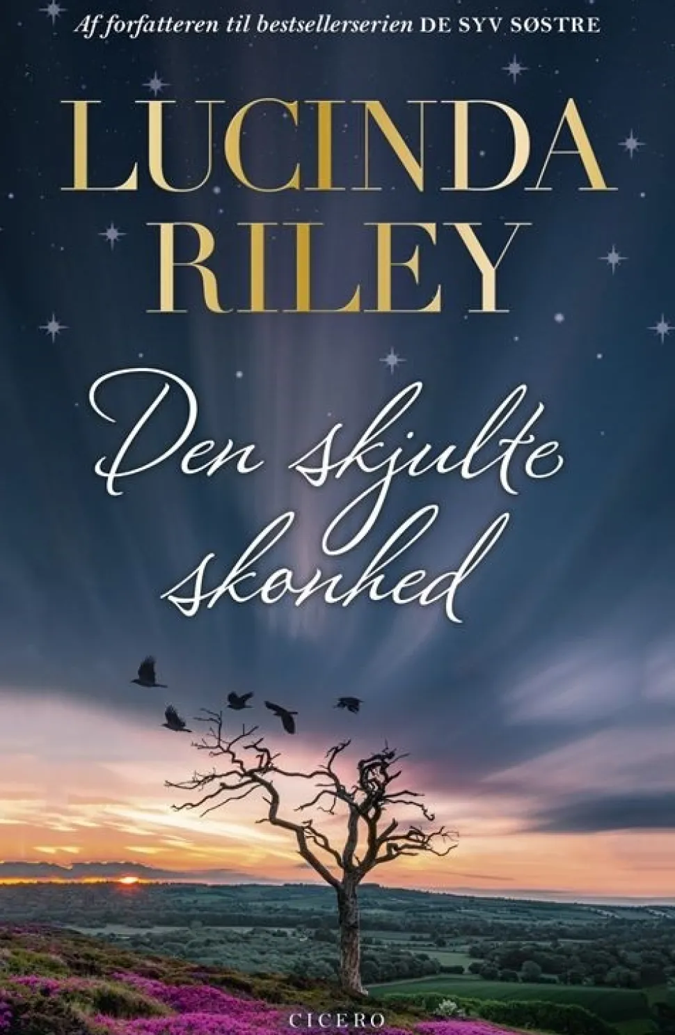Den skjulte skønhed (Bog, Indbundet, Dansk) af Lucinda Riley