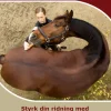Den smidige hest (Ebog, epub, Dansk) af Charlotte Beck Ascanius