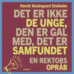 Det er ikke de unge, den er gal med, det er samfundet: En rektors opråb (Ebog, epub, Dansk) af Henrik Vestergaard Stokholm