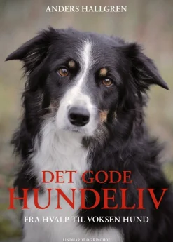 Det gode hundeliv (Bog, Indbundet, Dansk) af Anders Hallgren