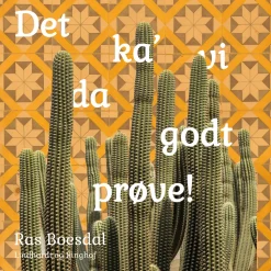 Det ka' vi da godt prøve! (Lydbog, zip_mp3, Dansk) af Ras Boesdal