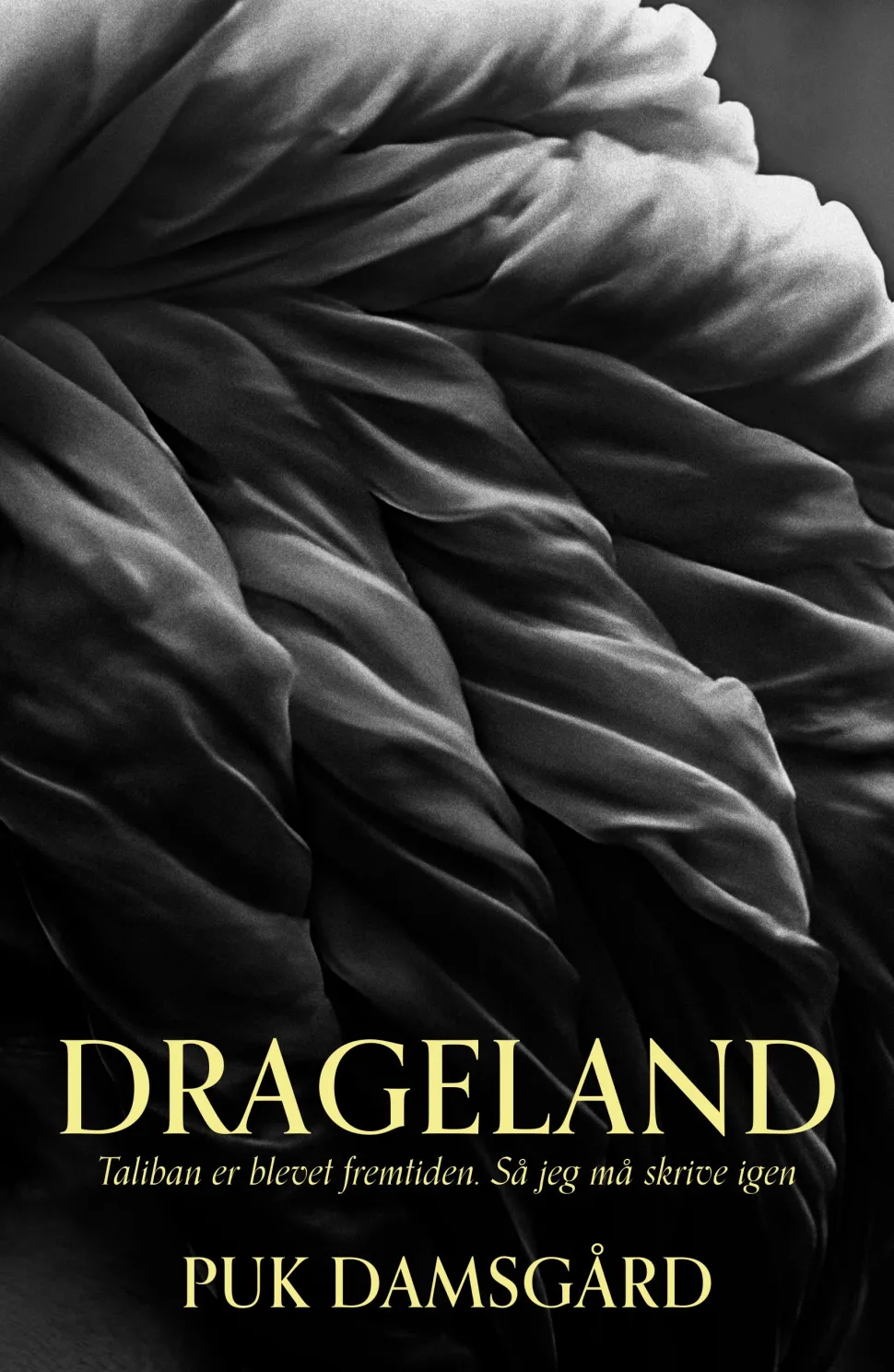 Drageland (Ebog, epub, Dansk) af Puk Damsgård