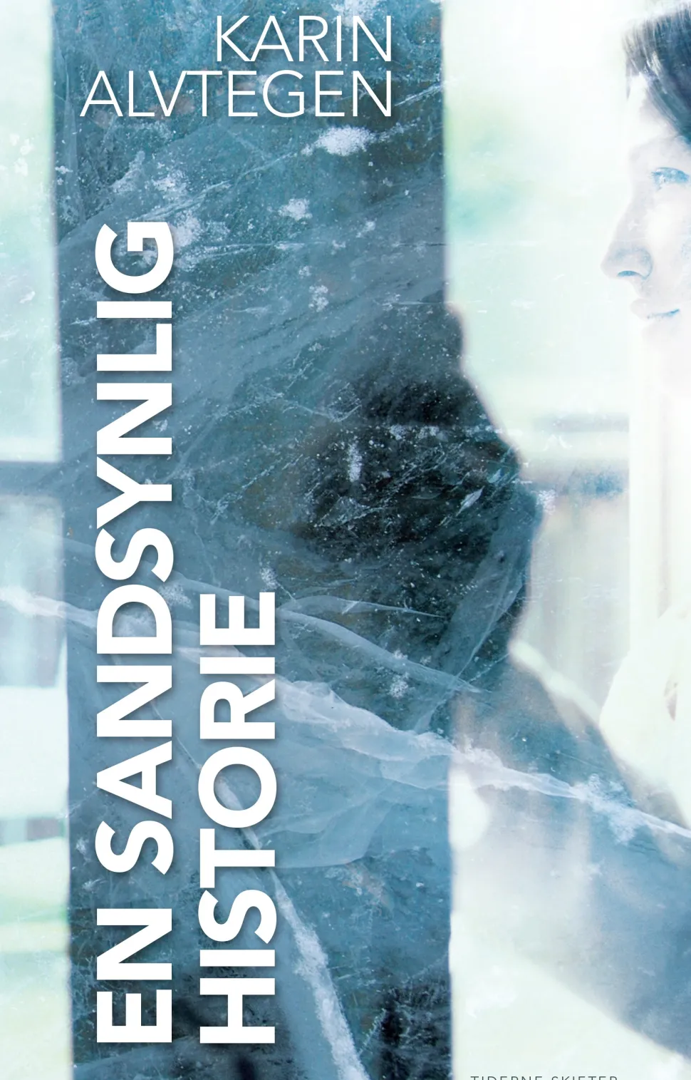 En sandsynlig historie (Ebog, epub, Dansk) af Karin Alvtegen