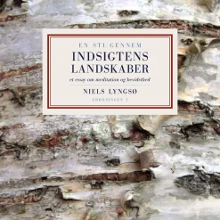 En sti gennem indsigtens landskaber: Et essay om meditation og bevidsthed (Ebog, epub, Dansk) af Niels Lyngsø