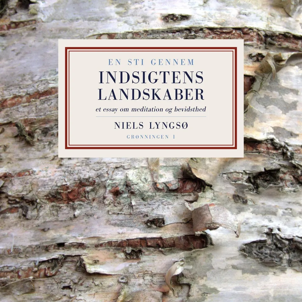 En sti gennem indsigtens landskaber: Et essay om meditation og bevidsthed (Ebog, epub, Dansk) af Niels Lyngsø