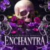 Enchantra: A spicy fantasy romance (Bog, Paperback / softback, Engelsk) af Kaylie Smith