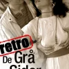 Erotik og sex: De grå sider, retro: Erotiske noveller (Ebog, epub, Dansk) af rapports læsere