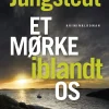 Et mørke iblandt os (Ebog, epub, Dansk) af Mari Jungstedt