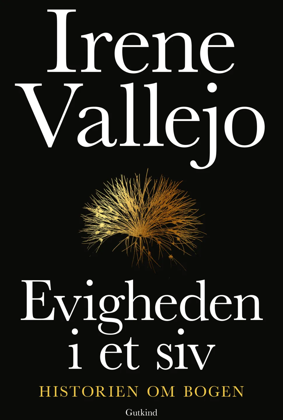 Evigheden i et siv: Historien om bogen (Ebog, epub, Dansk) af Irene Vallejo