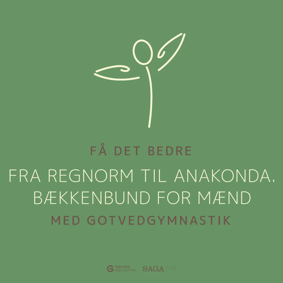 Få det bedre med Gotvedgymnastik. Fra regnorm til Anakonda. Bækkenbund for mænd (Lydbog, zip_mp3, Dansk) af Gotvedinstituttet