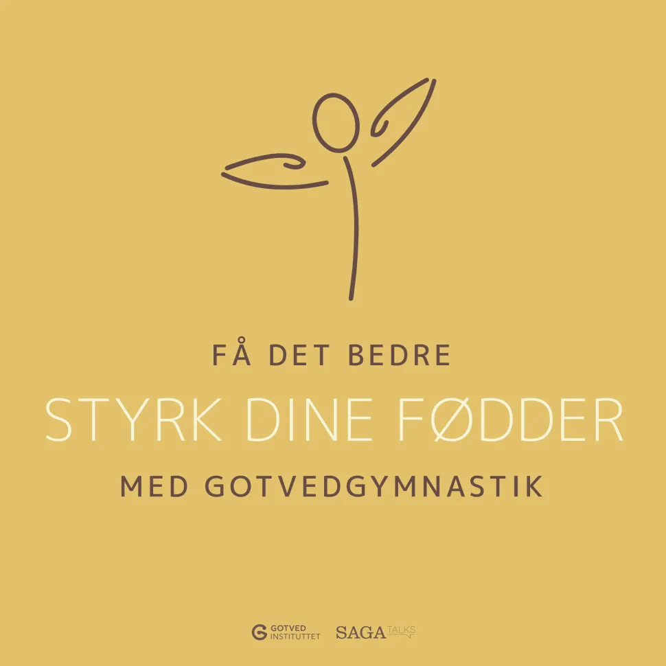 Få det bedre med Gotvedgymnastik. Styrk dine fødder (Lydbog, zip_mp3, Dansk) af Gotvedinstituttet