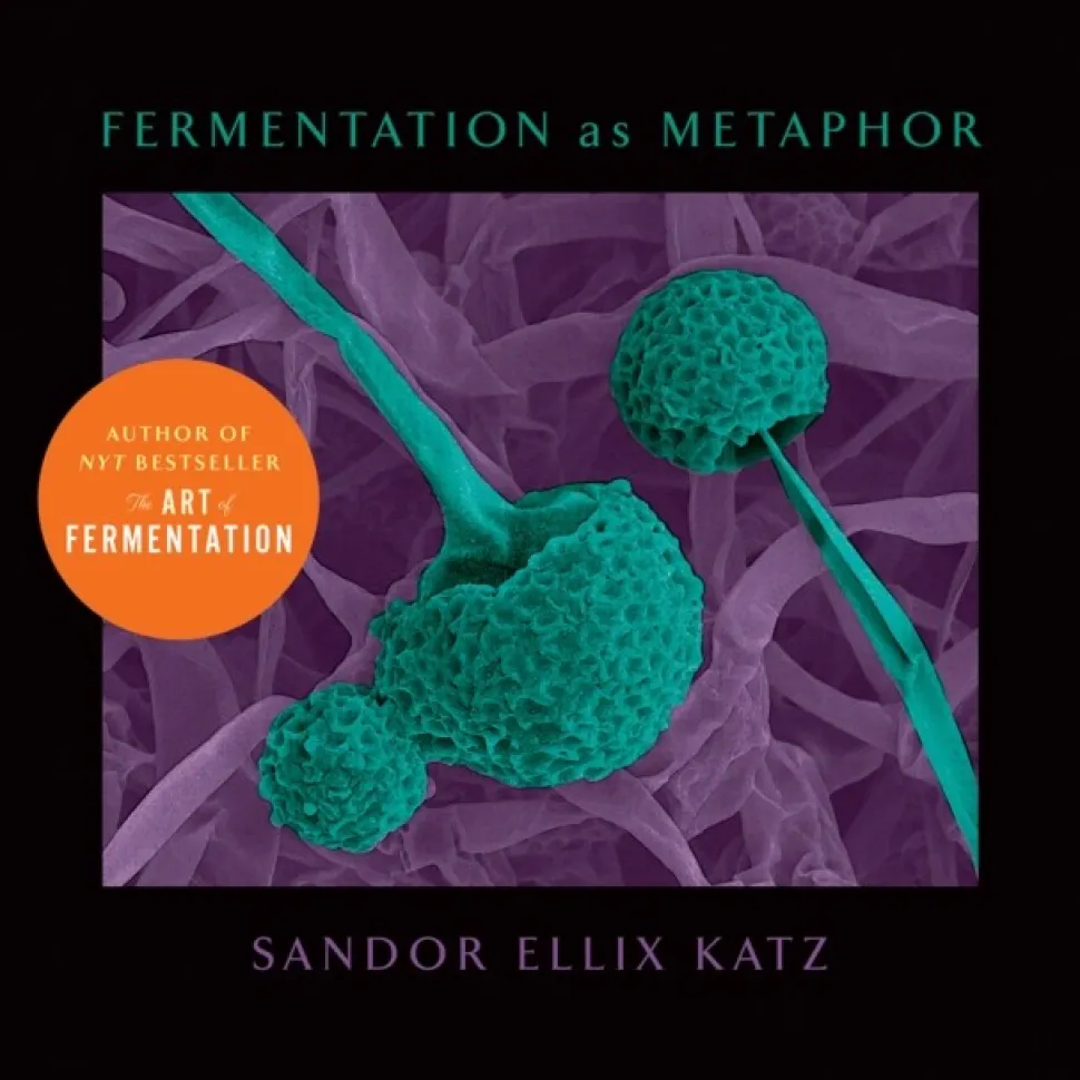 Fermentation as Metaphor: From the Author of the Bestselling "The Art of Fermentation" (Bog, Hardback, Engelsk)