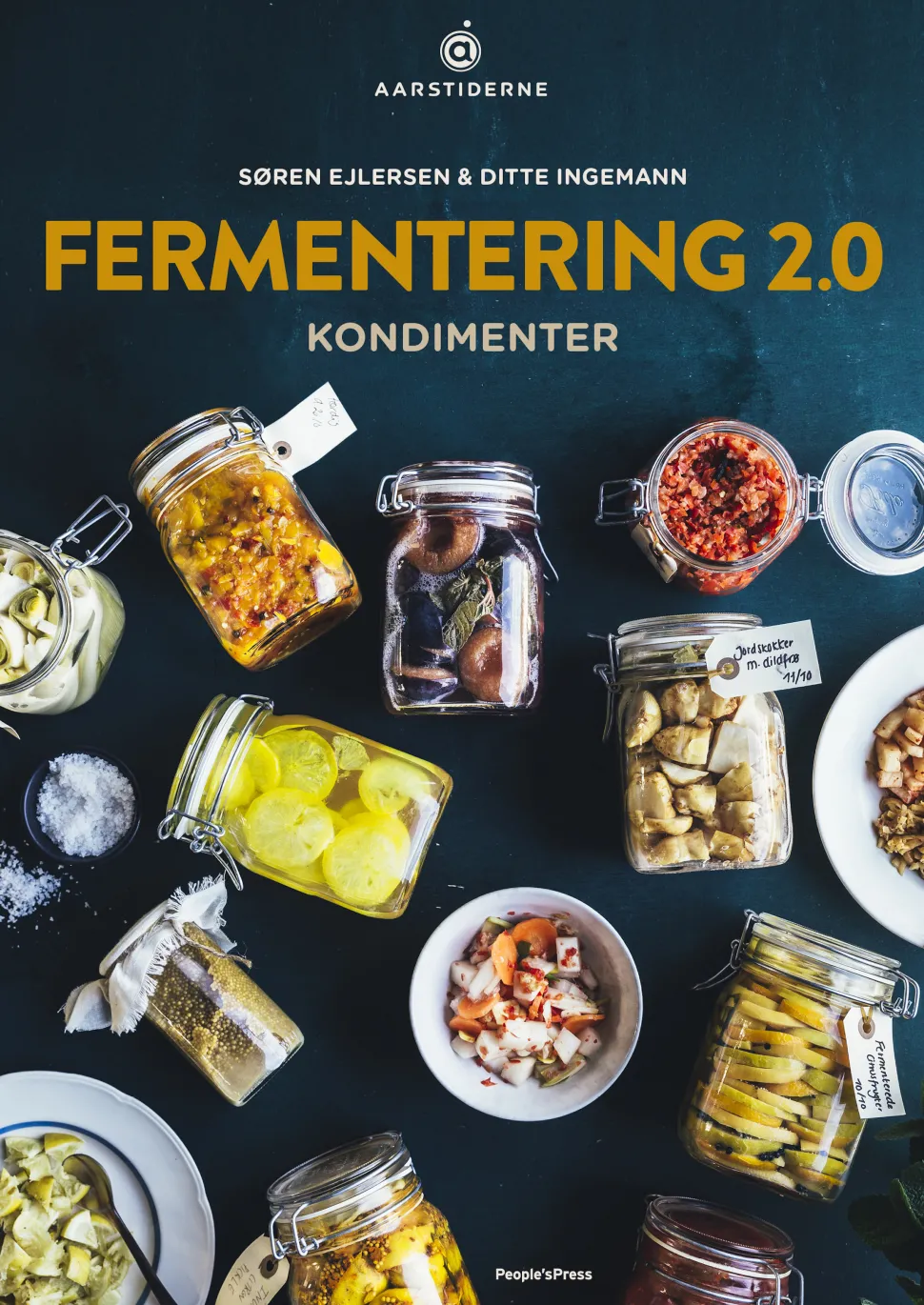 Fermentering 2.0 (Ebog, epub, Dansk) af Søren Ejlersen