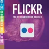 Flickr: Del og organisér dine billeder - [RODEKASSE/DEFEKT] (Bog, Hæftet, Dansk) af Filip Vest