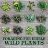 Foraging for Edible Wild Plants: How to identify, cook and enjoy them (Bog, Paperback / softback, Engelsk) af Gail Harland