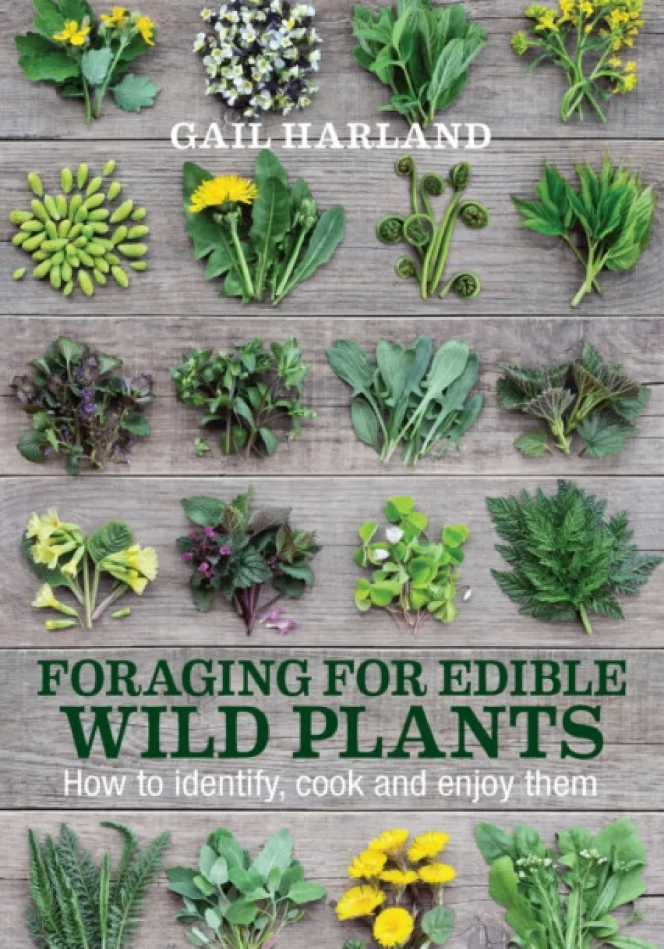 Foraging for Edible Wild Plants: How to identify, cook and enjoy them (Bog, Paperback / softback, Engelsk) af Gail Harland