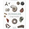 FOSSILER: Langs stranden (Bog, Indbundet, Dansk) af Jesper Milàn