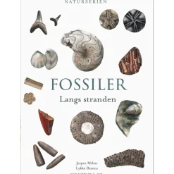 FOSSILER: Langs stranden (Bog, Indbundet, Dansk) af Jesper Milàn
