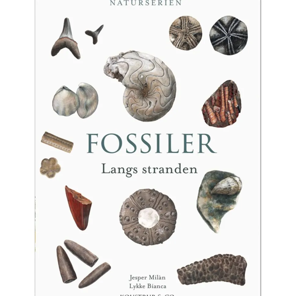 FOSSILER: Langs stranden (Bog, Indbundet, Dansk) af Jesper Milàn
