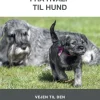 Fra hvalp til hund (Ebog, epub, Dansk) af Irene Jarnved