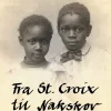 Fra St. Croix til Nakskov - [RODEKASSE/DEFEKT] (Bog, Paperback, Dansk) af Victor Cornelins & Alex Frank Larsen