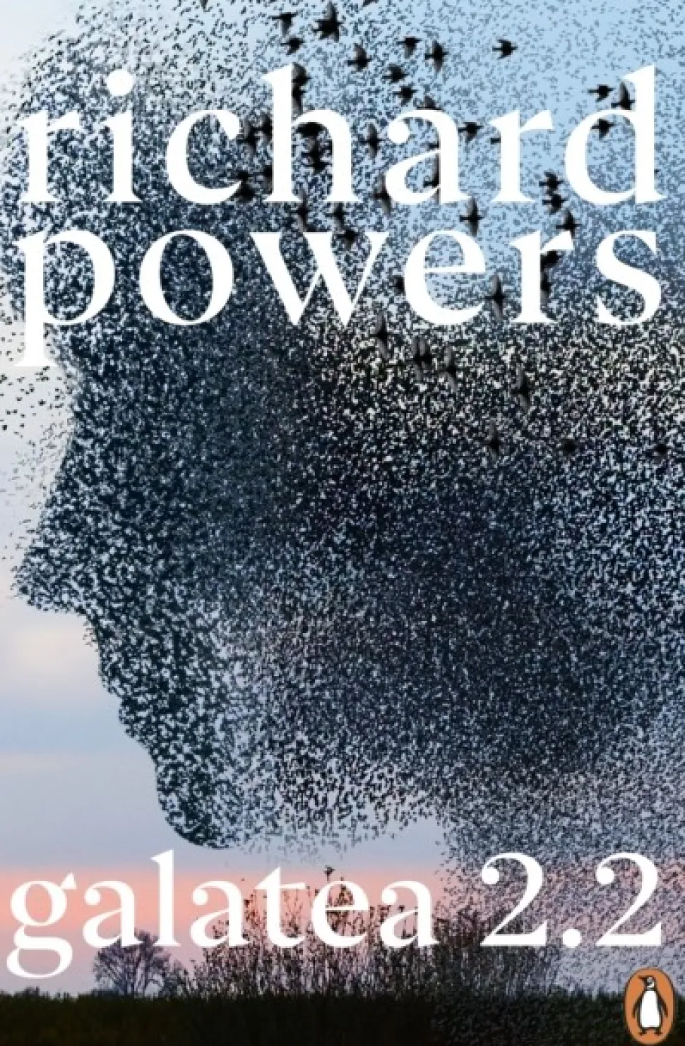 Galatea 2.2 (Bog, Paperback / softback, Engelsk) af Richard Powers