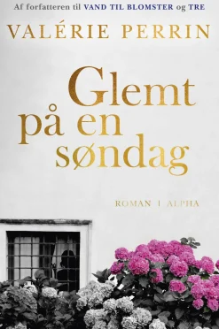 Glemt på en søndag (Bog, Indbundet, Dansk) af Valerie Perrin